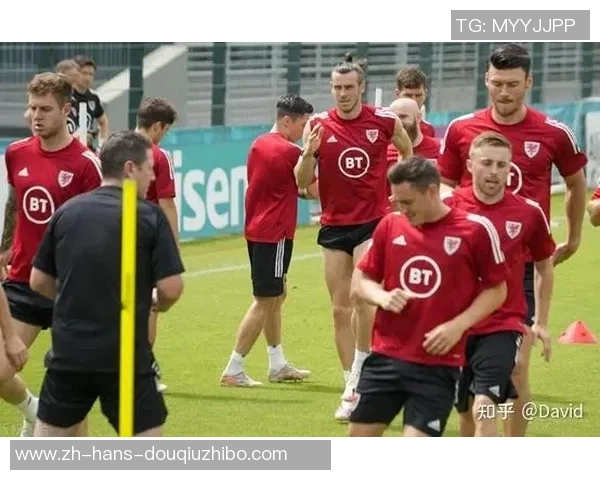 威尔士与奥地利精彩对决直播时间及观看方式全攻略